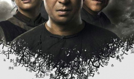 张子豪电视剧,逆袭人生，梦想成真