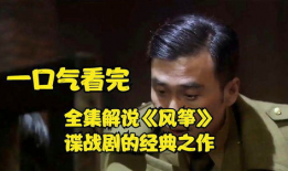 谍战电视剧大全最新,暗战风云录