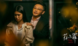 真相背后电视剧,揭开迷雾，探寻真相的勇气