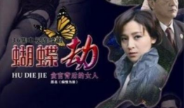 蝴蝶 电视剧,穿越时空的爱恋