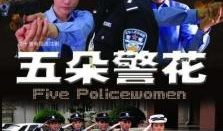 女警察电视剧,守护正义的铿锵玫瑰