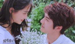 电视剧网,电视剧网倾情呈现浪漫奇幻之旅