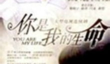 你是我的生命电视剧,爱在岁月流转中的坚守与守护