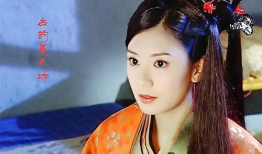 贾静雯主演电视剧大全,璀璨荧屏，演绎人生百态