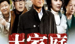 电视剧大家庭剧情介绍,温情岁月里的亲情纠葛