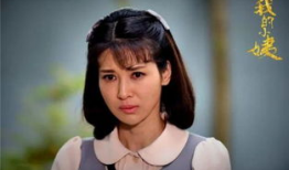 我的小姨电视剧大结局,情感纠葛终落幕，正义与爱情交织的结局揭晓