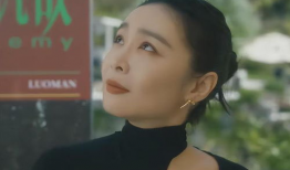 电视剧叶子全集播放,穿越时空的青春旋律