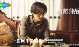 真相背后电视剧,揭开迷雾，探寻真相的勇气