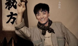 老中医电视剧演员表,实力派明星齐聚一堂，演绎中医传奇