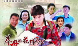 养母电视剧,温情岁月里的爱与救赎