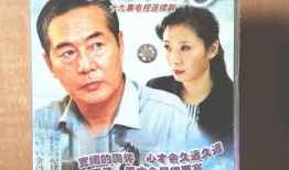 云淡天高电视剧,谱写时代风云下的青春传奇