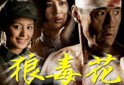 狼毒花电视剧,烽火岁月里的英雄传奇