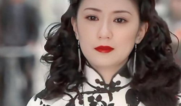 贾静雯主演电视剧大全,璀璨荧屏，演绎人生百态