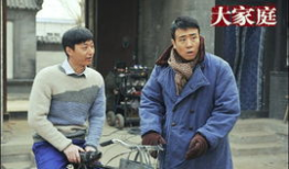 电视剧大家庭剧情介绍,温情岁月里的亲情纠葛