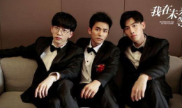 我该怎么办电视剧,探寻人生抉择与成长之路