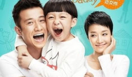 小爸爸电视剧,温情演绎现代家庭生活百态