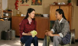 家常菜电视剧剧情介绍,舌尖上的温情岁月