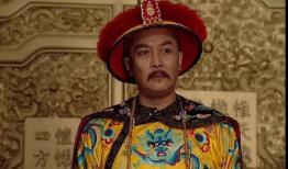 雍正 电视剧,权谋与情感交织的宫廷风云