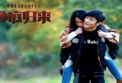 好看电视剧网,盘点年度热门剧集，带你领略视听盛宴