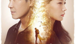 消失的爱人电视剧,揭秘婚姻背后的惊悚真相