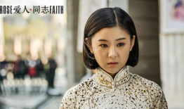 爱人同志电视剧,烽火岁月里的爱情传奇