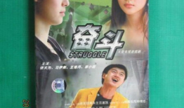 关于奋斗的电视剧,奋斗者的光影岁月