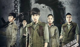 电视剧 解密,密码世界的传奇英雄