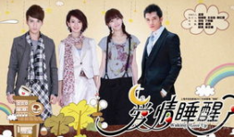 爱情睡醒了电视剧,甜蜜梦境与现实交织的浪漫旅程