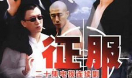 警匪电视剧大全,揭秘电视剧中的正义之战