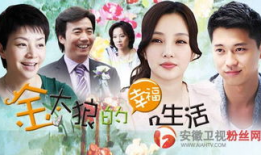 安徽卫视今晚电视剧,情感纠葛与命运抉择交织