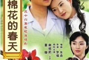 电视剧木棉花的春天