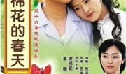电视剧木棉花的春天
