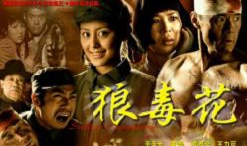 狼毒花电视剧,烽火岁月里的英雄传奇
