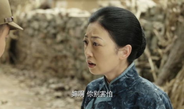 电视剧叶子全集播放,穿越时空的青春旋律