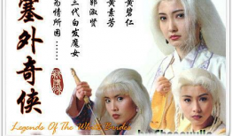 塞外奇侠电视剧,江湖风云，英雄逐梦