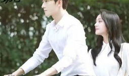 好看电视剧网,盘点年度热门剧集，带你领略视听盛宴