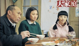 电视剧大家庭剧情介绍,温情岁月里的亲情纠葛