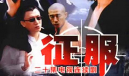 电视剧征服下载,权力与欲望的较量