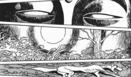 火鸟漫画,穿越时空的奇幻冒险之旅