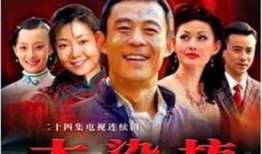 电视剧大染坊,风云变幻的民国纺织传奇