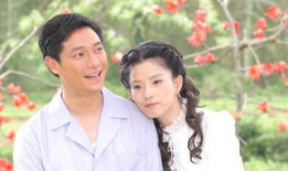 电视剧木棉花的春天