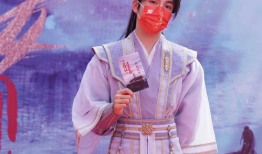 莲花电视剧,穿越时空的传奇爱情