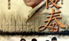 电视剧傻春,逆境中的温情与成长