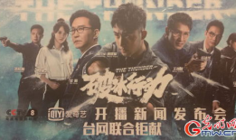 电视剧行动,揭秘电视剧中的惊心动魄