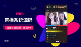 91代码直播间,揭秘编程奥秘，畅游技术海洋